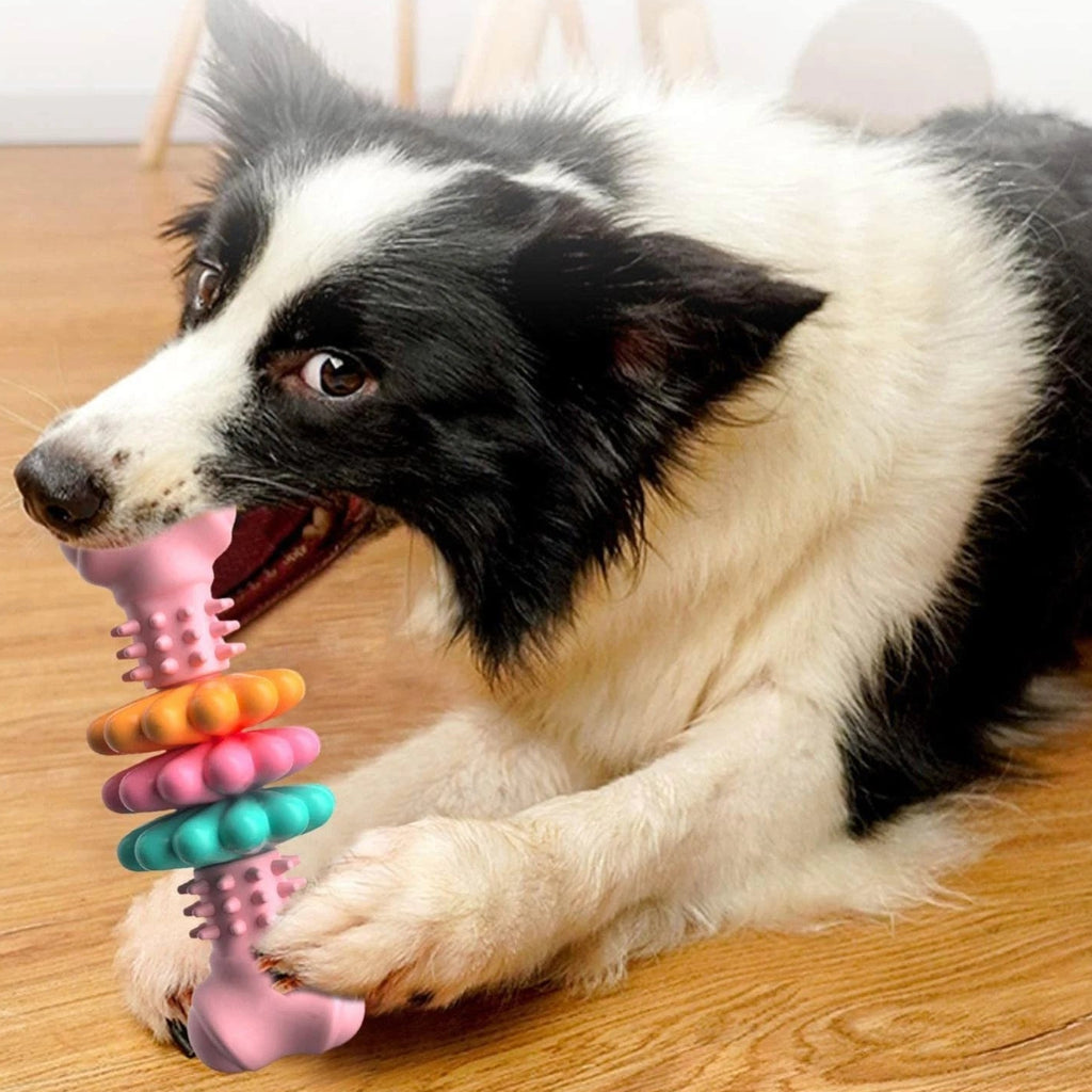 Multi-Color Dog Toothbrush Toy Blue